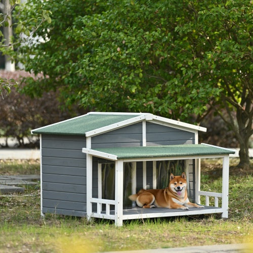 The Outdoor Pup Edit