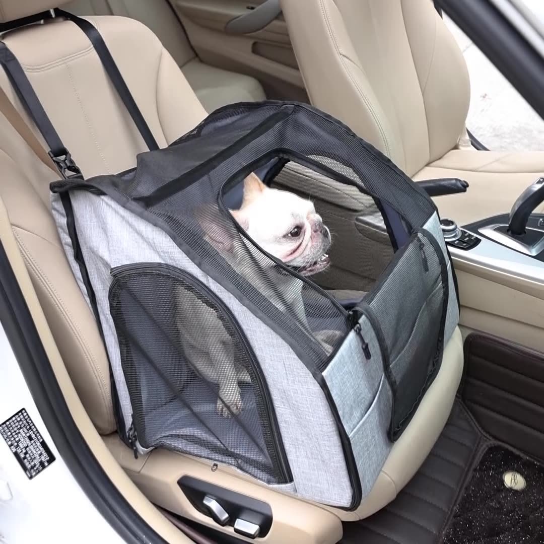 Co-Pilot Essentials
