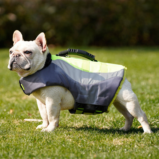 New Reflective Pet Dog Swimsuit Life Jacket – Safety & Fun for Lake & River Adventures