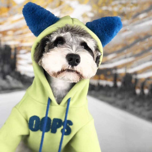 🐾 Dog Clothes Autumn And Winter Cotton Hoodie – “You Are My Lucky Dog” Edition 💙💛