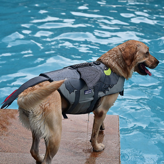 🐉 Flying Dragon Cosplay Dog Swimsuit – Grey