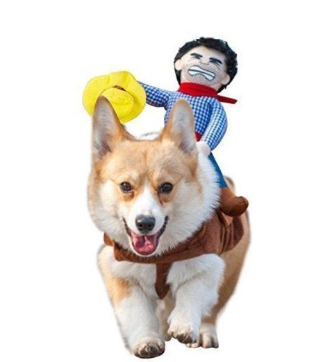 Ride 'Em Cowboy Dog Costume – Halloween Edition