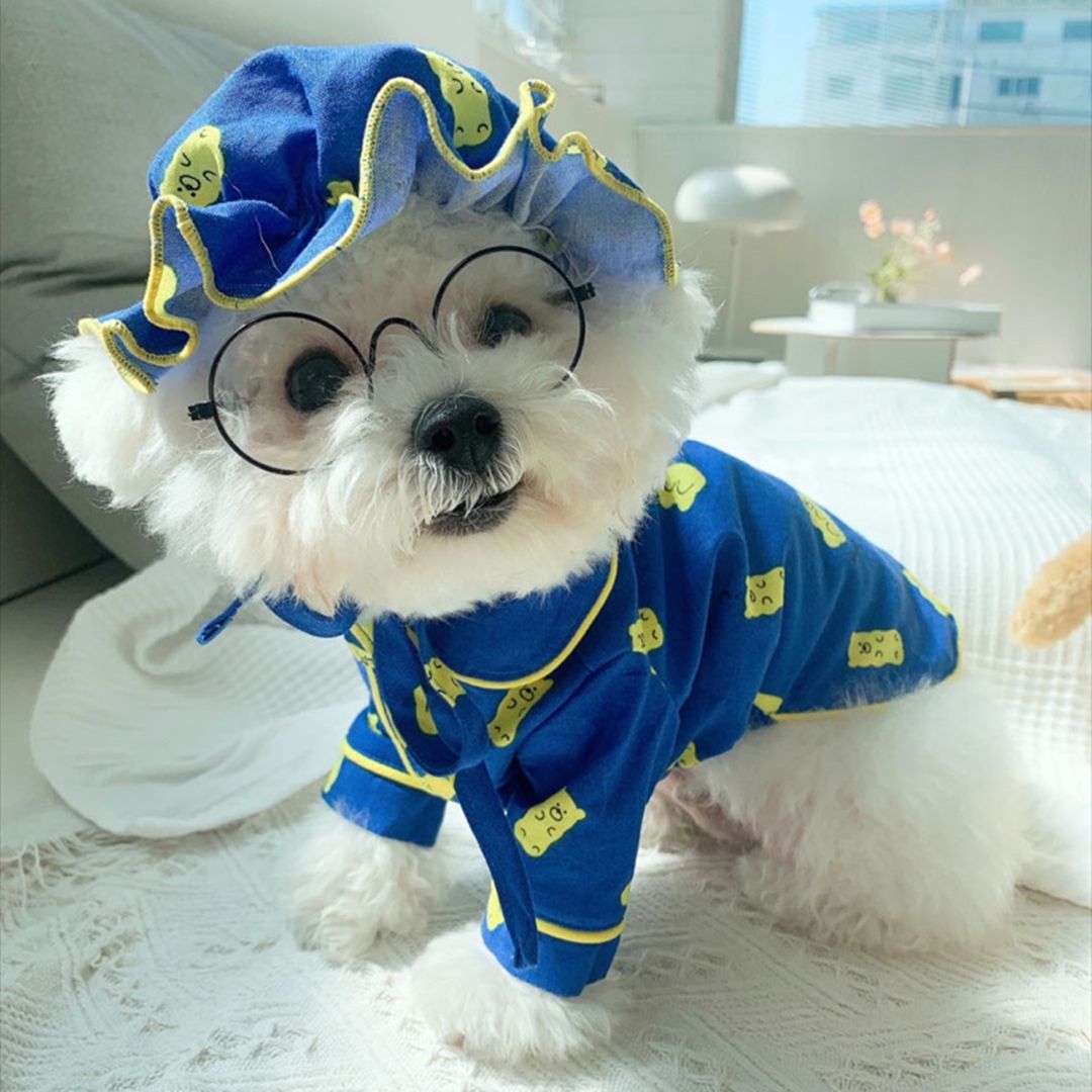 Candy Bear Pajama Set for Pets – Adorable & Cozy Homewear
