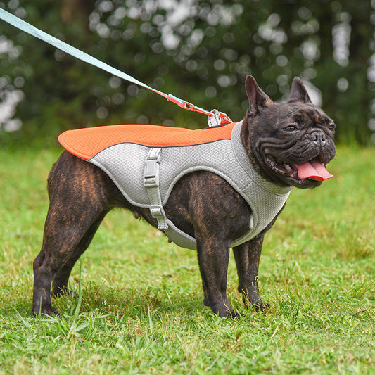 Summer Pet Outdoor Breathable Cooling Vest – Lightweight Mesh & Cool Fabric for Pets (Blue, Orange, Green, Pink)